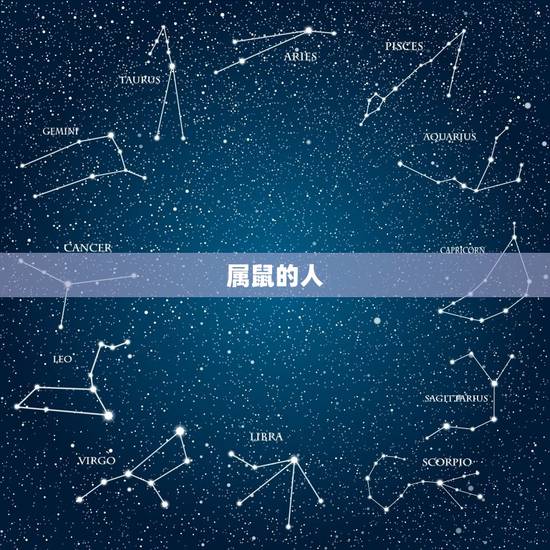 属鼠的人 属鼠的人