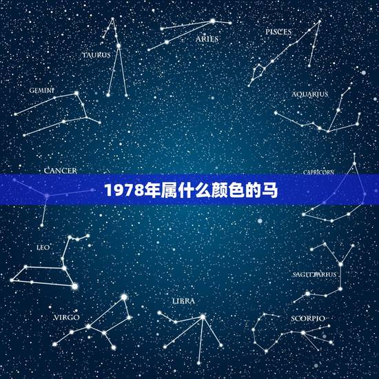 1978年属什么颜色的马，78年属马2022 年最旺颜色