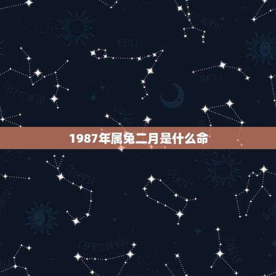 1987年属兔二月是什么命，1987年属兔几月出生命苦