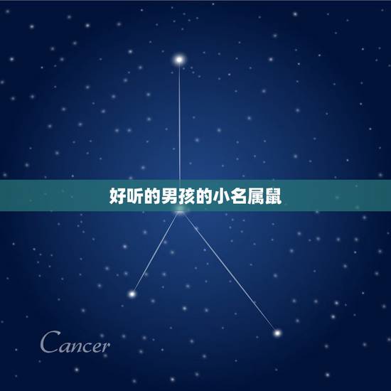 好听的男孩的小名属鼠,男孩小名洋气点的属鼠 好听的男孩的小名属鼠,男孩小名洋气点的属鼠