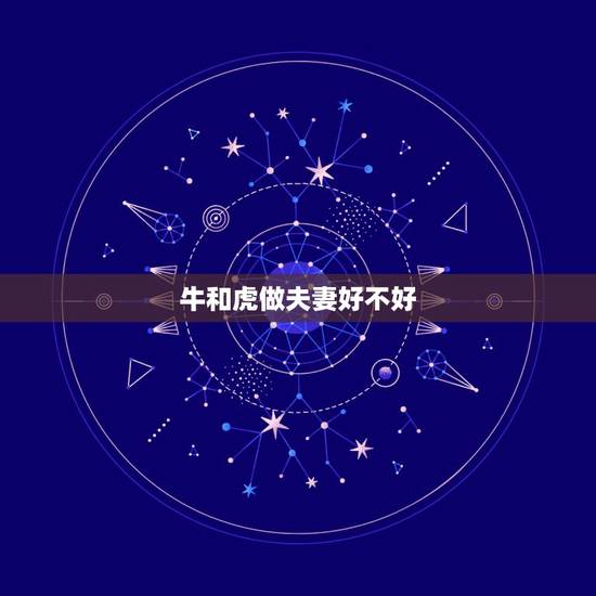 牛和虎做夫妻好不好,牛和虎相配婚姻如何 牛和虎做夫妻好不好,牛和虎相配婚姻如何