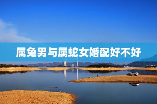 属兔男与属蛇女婚配好不好，属兔的男生和属蛇的女生