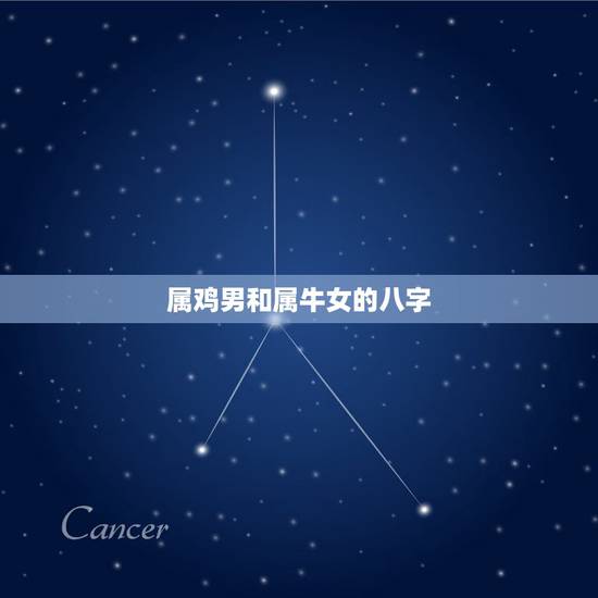 属鸡男和属牛女的八字，男属牛女属龙，八字合