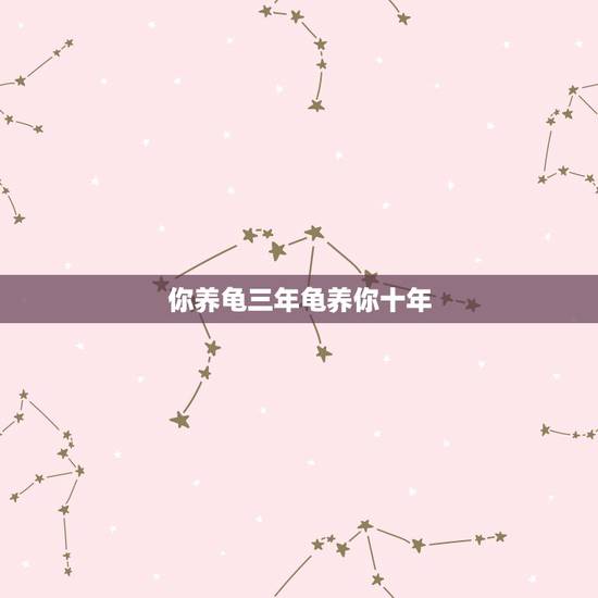 你养龟三年龟养你十年,乌龟长养了10年就是不大是什么原因? 你养龟三年龟养你十年,乌龟长养了10年就是不大是什么原因?