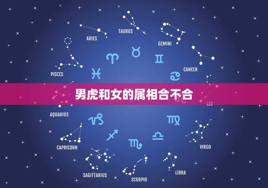 男虎和女的属相合不合,男属虎和女属龙的属相婚配合适吗 男虎和女的属相合不合,男属虎和女属龙的属相婚配合适吗