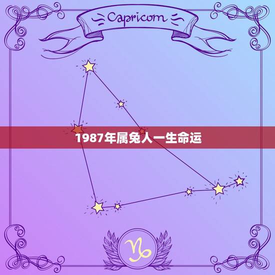1987年属兔人一生命运，1987年属兔2022 年运势