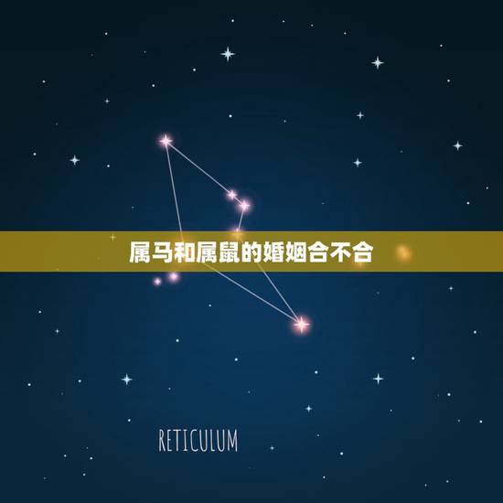 属马和属鼠的婚姻合不合,婚姻差6岁相冲反而好 属马和属鼠的婚姻合不合,婚姻差6岁相冲反而好