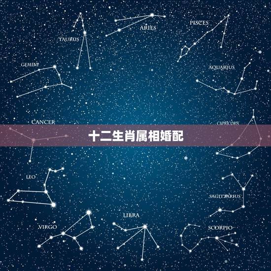十二生肖属相婚配，哪些属相婚配好