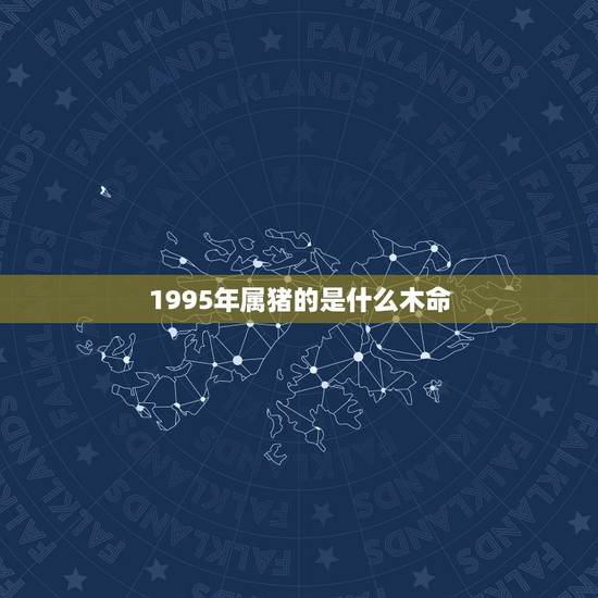 1995年属猪的是什么木命，95年属猪的是什么命