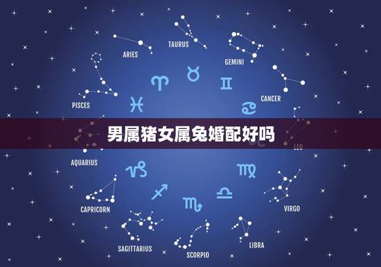 男属猪女属兔婚配好吗,男猪女兔婚姻怎么样好不好 男属猪女属兔婚配好吗,男猪女兔婚姻怎么样好不好