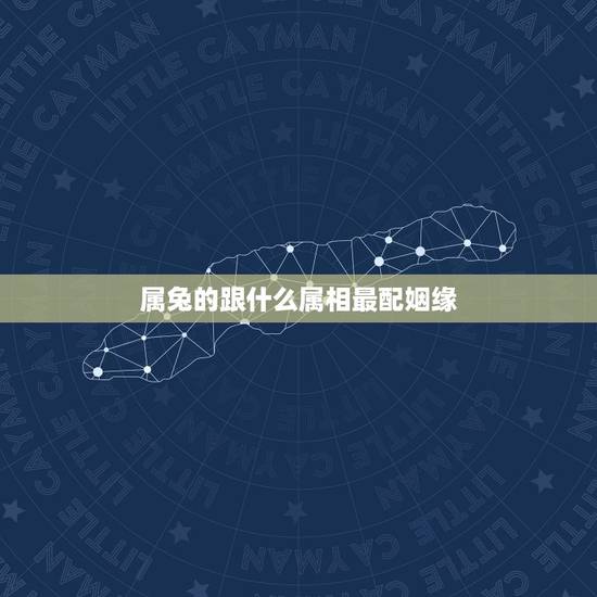 属兔的跟什么属相最配姻缘,属猪的和什么属相最配 属兔的跟什么属相最配姻缘,属猪的和什么属相最配