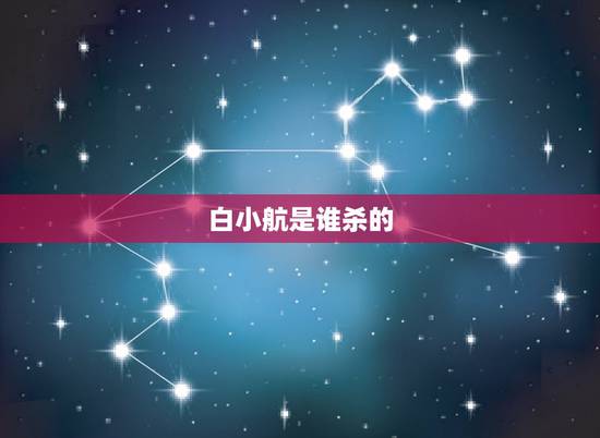 白小航是谁杀的,白小航李公子是谁 白小航是谁杀的,白小航李公子是谁