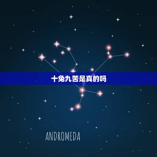十兔九苦是真的吗 几月的兔最有福气 十兔九苦是真的吗 几月的兔最有福气