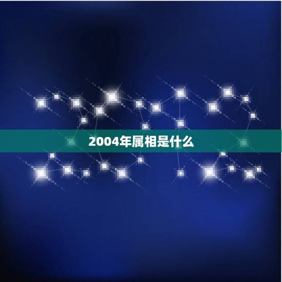 2004年属相是什么