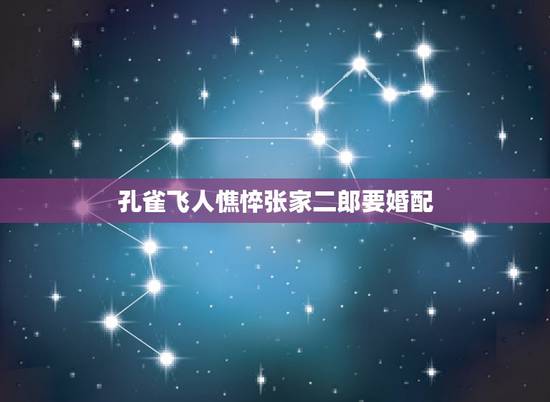 孔雀飞人憔悴张家二郎要婚配，孔雀飞了怎样能要他回来
