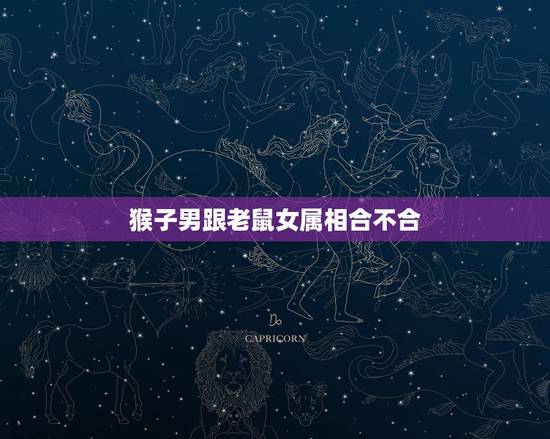 猴子男跟老鼠女属相合不合,属猴的男生和属鼠的女生配吗 猴子男跟老鼠女属相合不合,属猴的男生和属鼠的女生配吗
