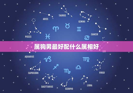 属狗男最好配什么属相好,男属狗的和什么属相最配 属狗男最好配什么属相好,男属狗的和什么属相最配