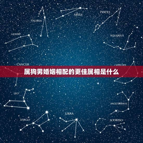属狗男婚姻相配的更佳属相是什么,男属狗配女属龙合适吗 属狗男婚姻相配的更佳属相是什么,男属狗配女属龙合适吗