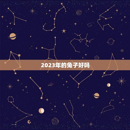 2023年的兔子好吗，2023日历