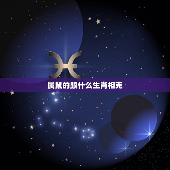 属鼠的跟什么生肖相克，老鼠属相和什么属相不合
