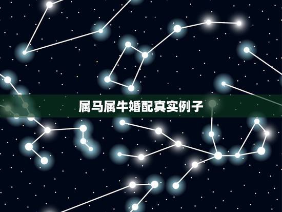 属马属牛婚配真实例子，属牛和属马的人合不合