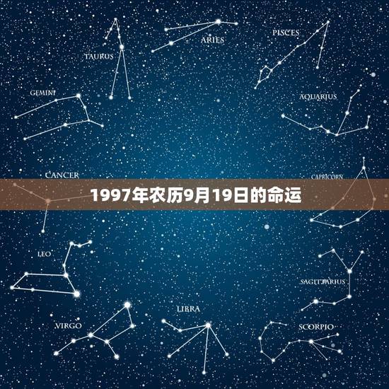 1997年农历9月19日的命运，男1990年农历9月19日下午两点多出