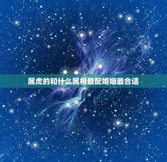 属虎的和什么属相最配婚姻最合适,虎和什么属相最配 属虎的和什么属相最配婚姻最合适,虎和什么属相最配