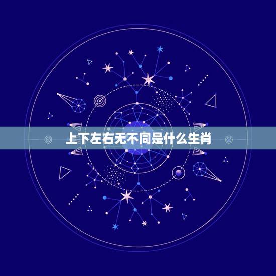 上下左右无不同是什么生肖,awsd和上下左右颠倒 上下左右无不同是什么生肖,awsd和上下左右颠倒