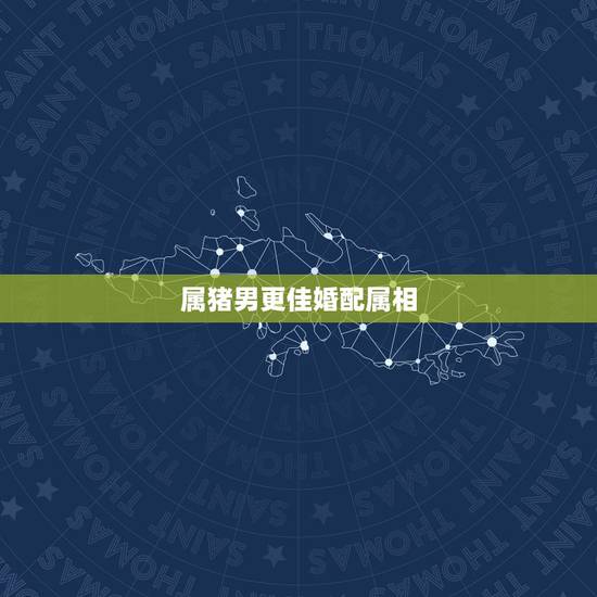属猪男更佳婚配属相，生肖猪的上上等婚配