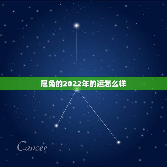 属兔的2022年的运怎么样，2022年属兔人运气