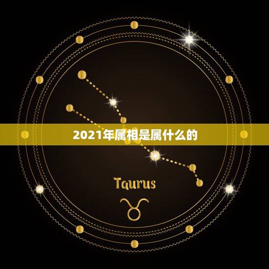 2021年属相是属什么的,2021年今天属什么生肖? 2021年属相是属什么的,2021年今天属什么生肖?