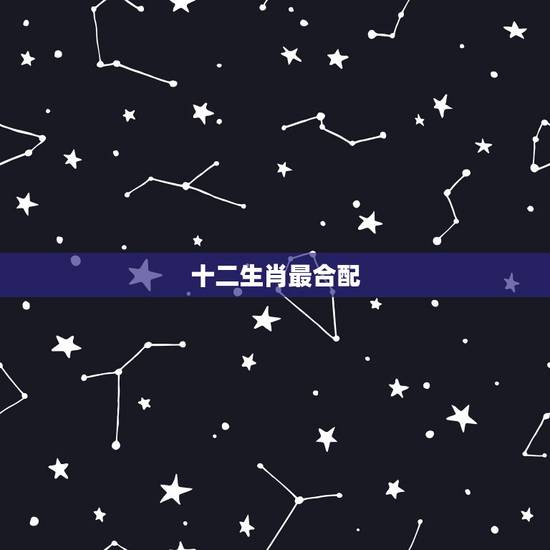 十二生肖最合配，12生肖具体的配对，合适的与不合适的，详解