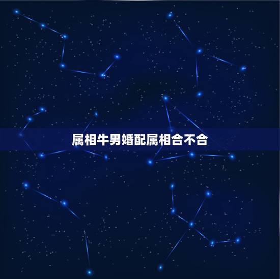 属相牛男婚配属相合不合,生肖牛男,和什么生肖最适合婚配 属相牛男婚配属相合不合,生肖牛男,和什么生肖最适合婚配
