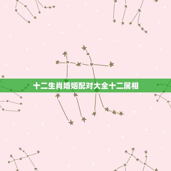 十二生肖婚姻配对大全十二属相,十二生肖属相婚姻相配 十二生肖婚姻配对大全十二属相,十二生肖属相婚姻相配