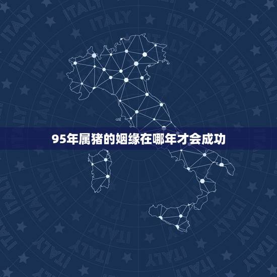95年属猪的姻缘在哪年才会成功，1995年属猪姻缘