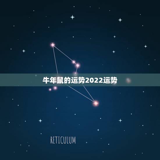 牛年鼠的运势2022运势,属鼠人2022 年每月运势 牛年鼠的运势2022运势,属鼠人2022 年每月运势
