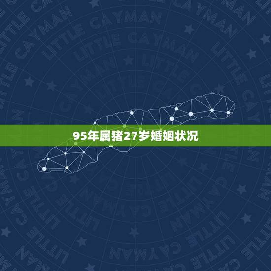 95年属猪27岁婚姻状况 95年属猪27岁命运 95年属猪27岁婚姻状况 95年属猪27岁命运