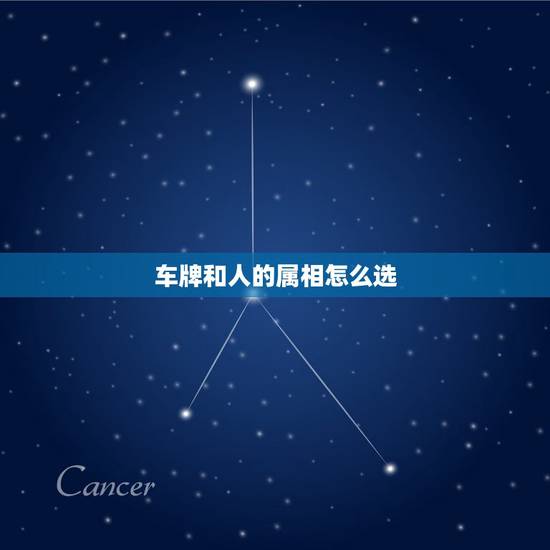 车牌和人的属相怎么选，生肖与车牌最佳搭配