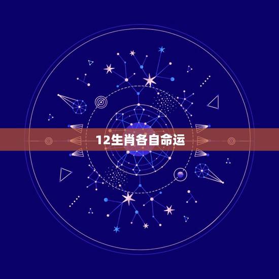 12生肖各自命运，12生肖动画片