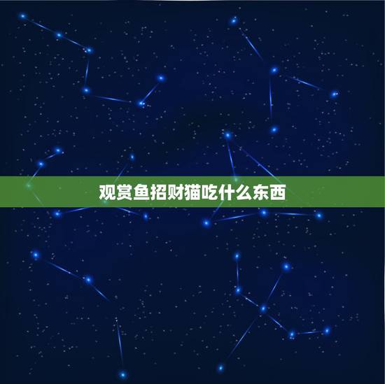 观赏鱼招财猫吃什么东西,招财猫鱼吃什么? 观赏鱼招财猫吃什么东西,招财猫鱼吃什么?