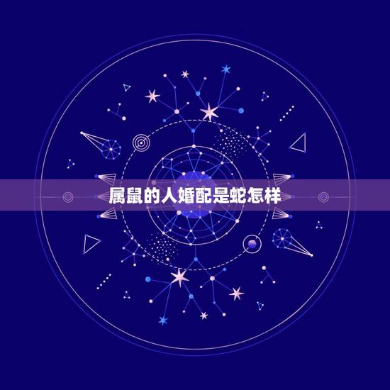 属鼠的人婚配是蛇怎样，属鼠和属蛇的怎么样