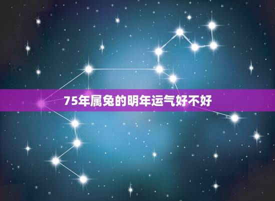 75年属兔的明年运气好不好,75属兔一生有几次婚姻 75年属兔的明年运气好不好,75属兔一生有几次婚姻
