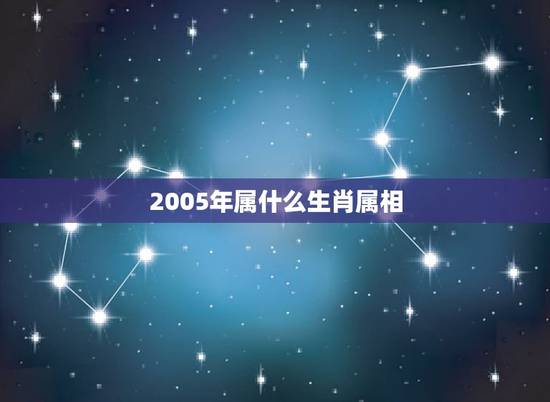 2005年属什么生肖属相，2005年是什么属相