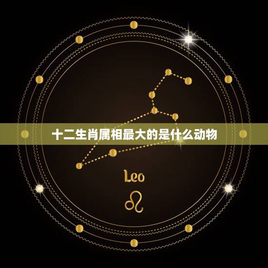 十二生肖属相最大的是什么动物，十二生肖中哪个生肖最大
