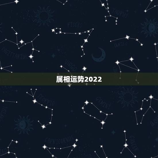 属相运势2022,2022年属猴人的运程 属相运势2022,2022年属猴人的运程