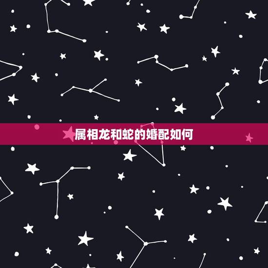 属相龙和蛇的婚配如何，在生肖中，龙和蛇是绝配吗？