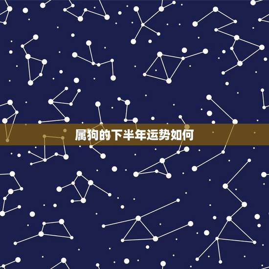 属狗的下半年运势如何，2021属狗的全年运势