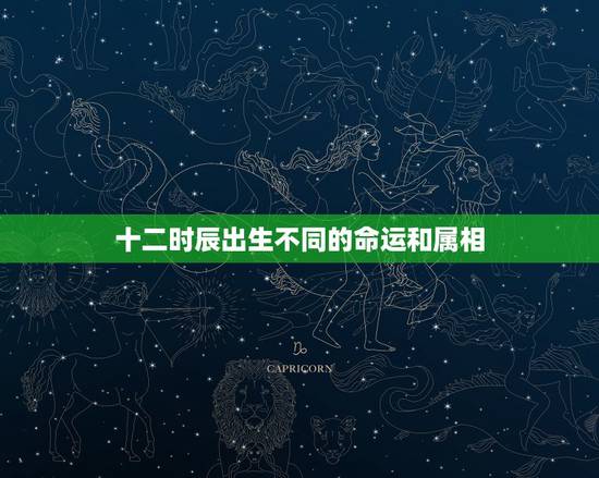 十二时辰出生不同的命运和属相，十二时辰对应的生肖是什么？
