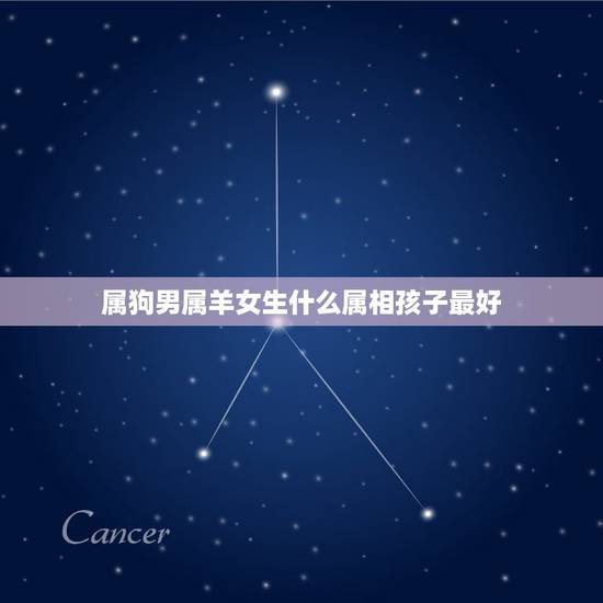 属狗男属羊女生什么属相孩子最好，属狗和属羊的生什么属相的孩子好？