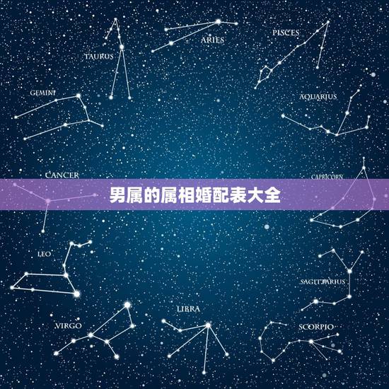 男属的属相婚配表大全,男属鼠的属相婚配表 男属的属相婚配表大全,男属鼠的属相婚配表